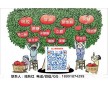 藥用針用炭767【藥典名】