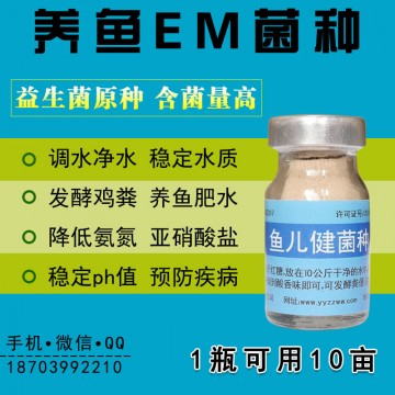 魚塘水發黑發紅提前調控用em菌復合益生菌