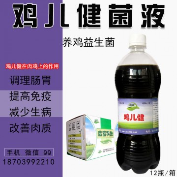 養(yǎng)殖土雞肉雞想提高雞肉品質(zhì)長期使用益生菌可以解決嗎