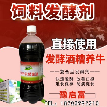 利用酒糟養牛有什么好處怎么處理酒糟做牛飼料